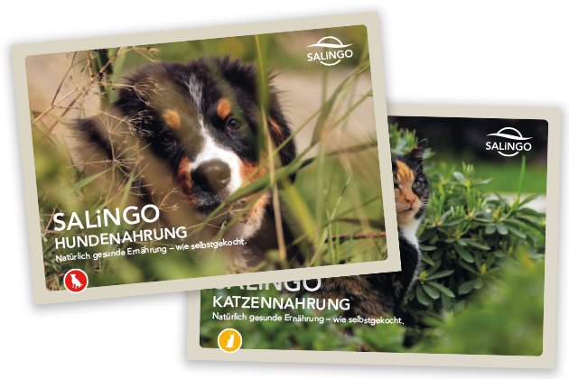 SALiNGO Katalog Hundenahrung und Katzennahrung