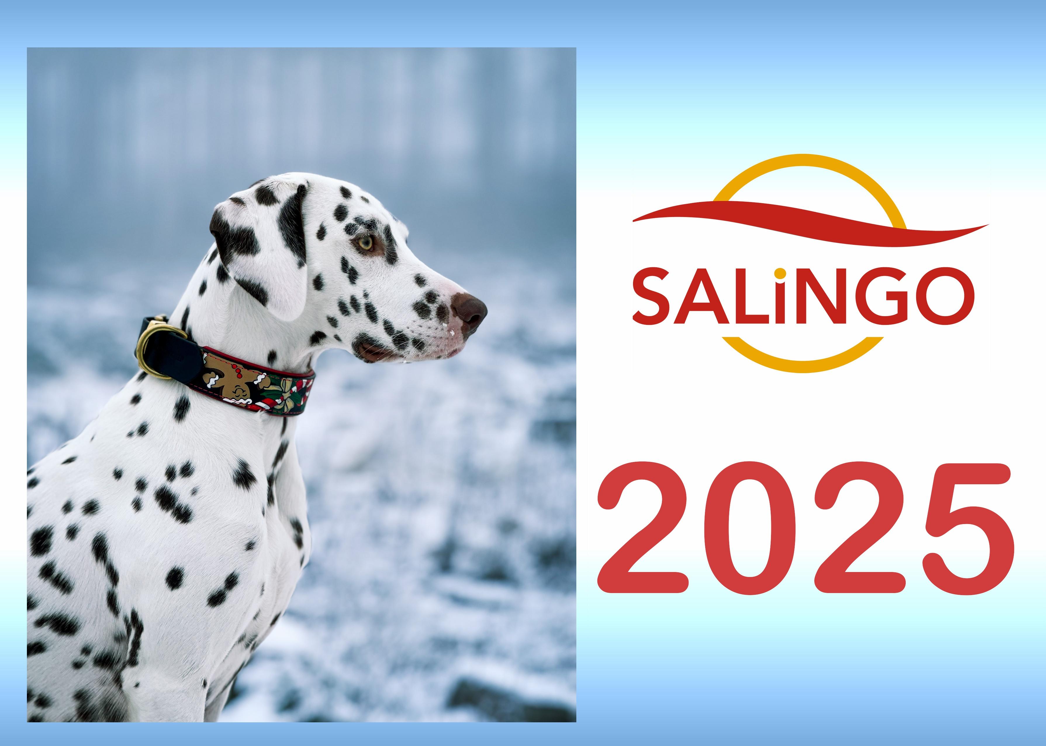 SALiNGO Kalender 2025