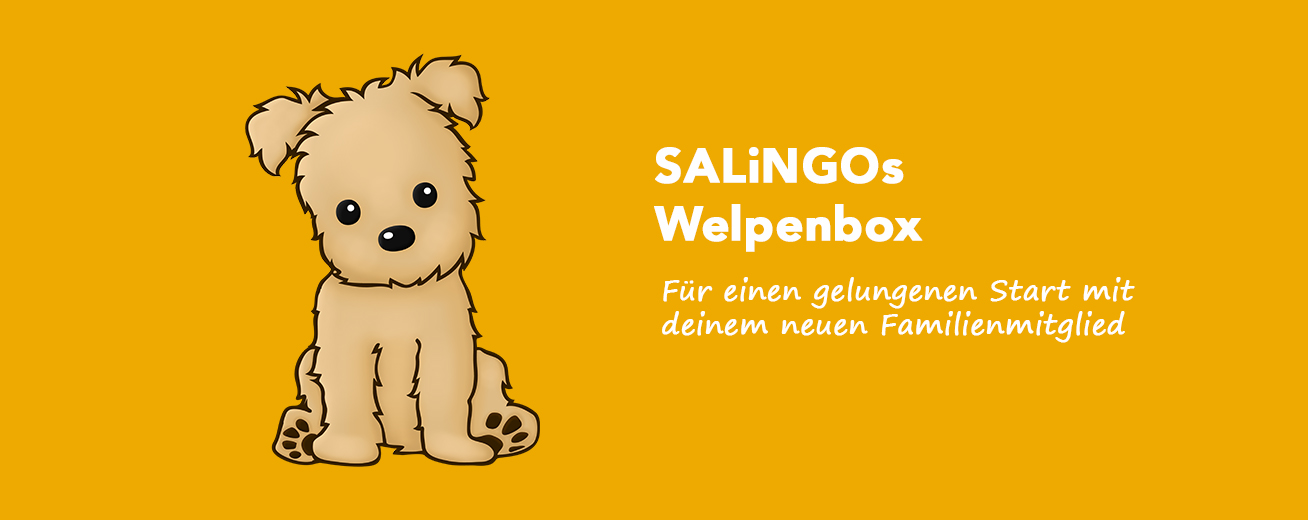 SALiNGO Welpenbox Starterset