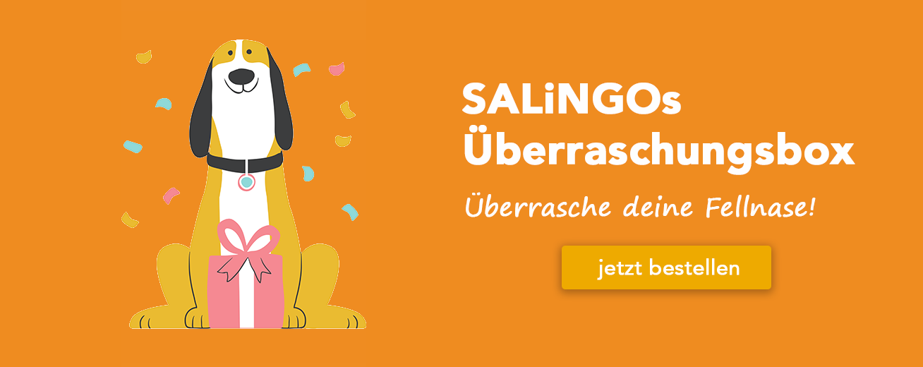 SALiNGO Überraschungsbox - Überrasche deinen Hund